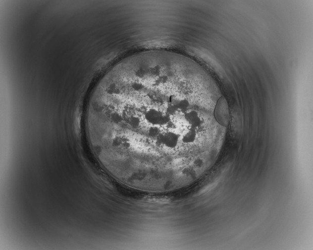 X0000091720491200709141208