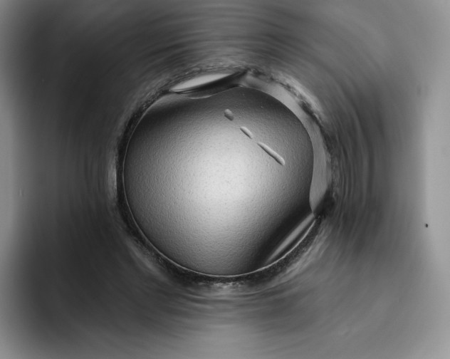 X0000091720493200709141208