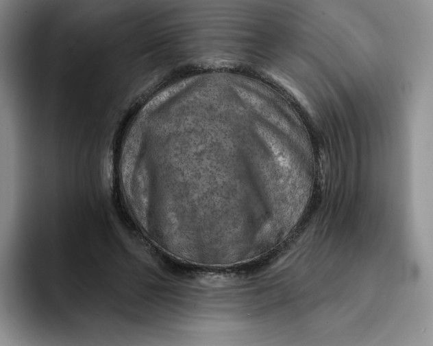 X0000091720494200709141208