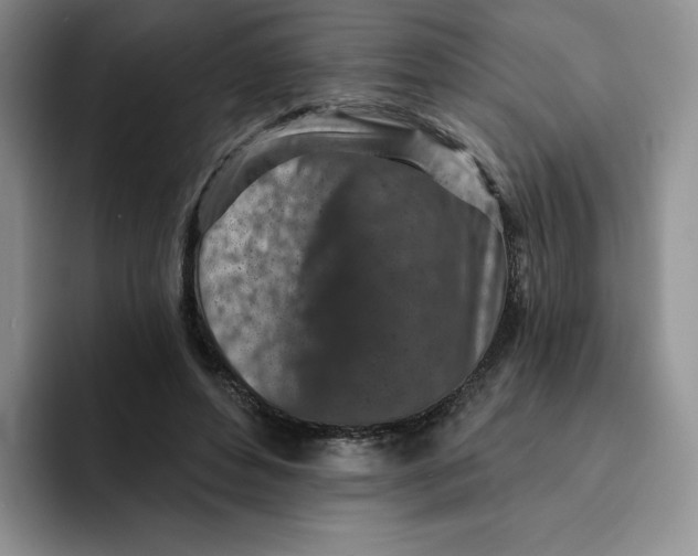 X0000091720496200709141208