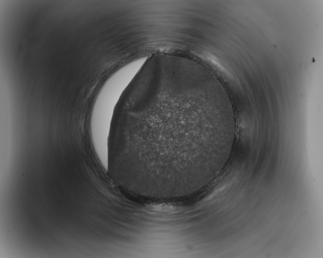 X0000091720500200709141208