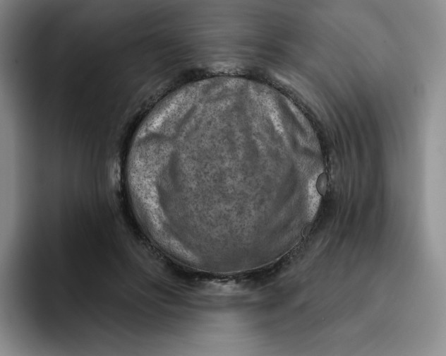 X0000091720502200709141208