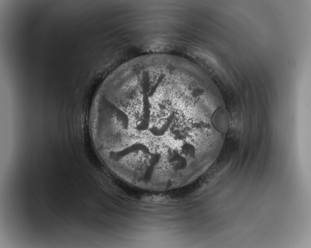 X0000091720503200709141208