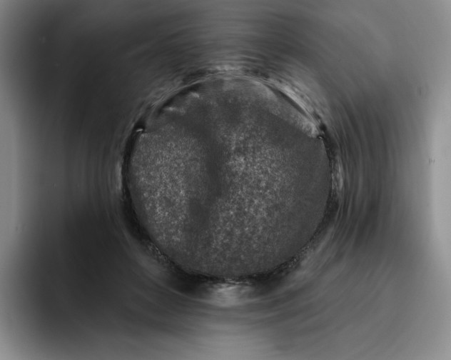 X0000091720504200709141208