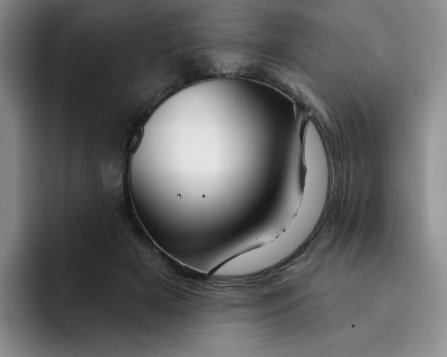 X0000091720505200709141208