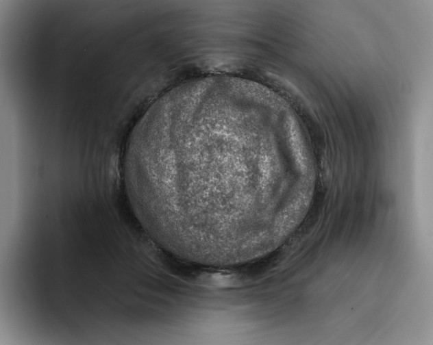 X0000091720506200709141208