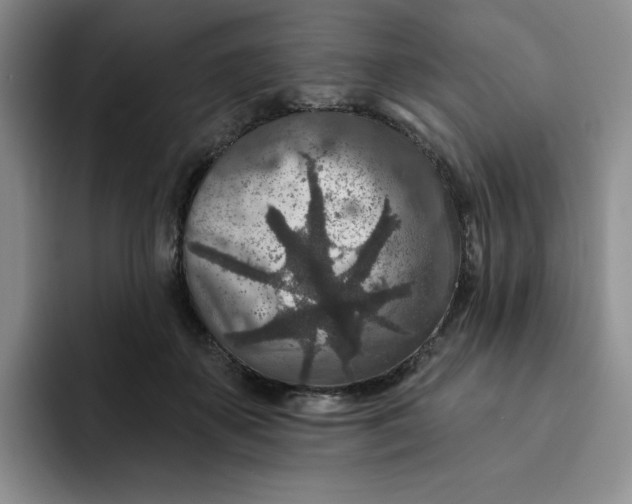 X0000091720507200709141208