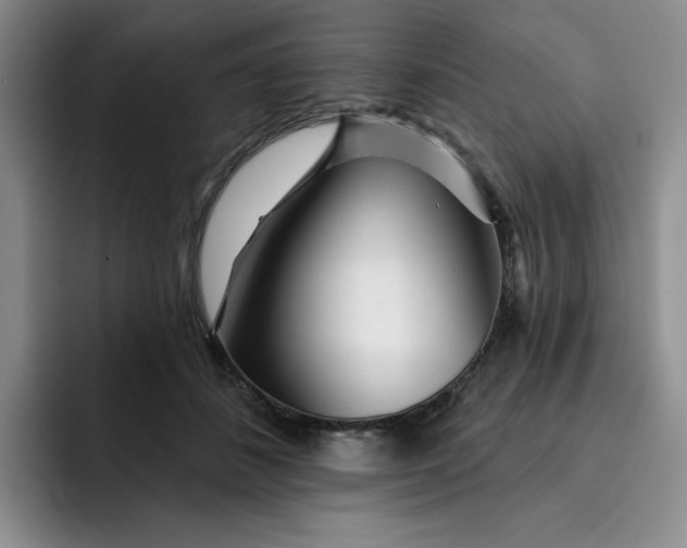 X0000091720508200709141208