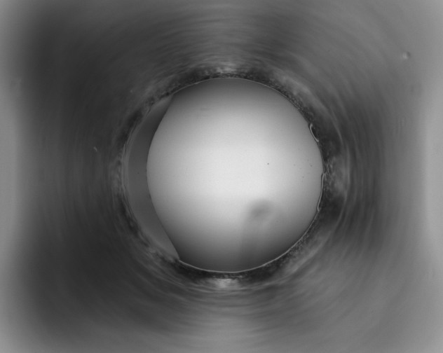 X0000091720509200709141208