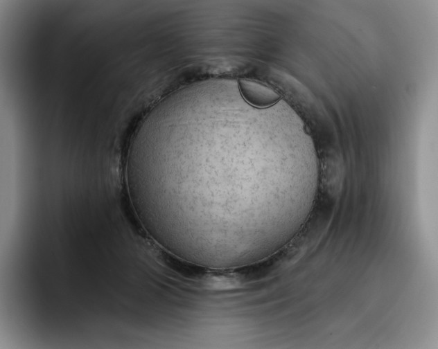 X0000091720510200709141208