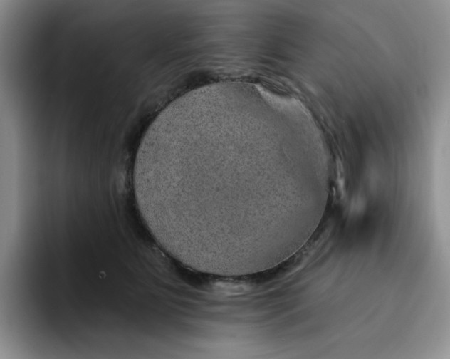 X0000091720515200709141208