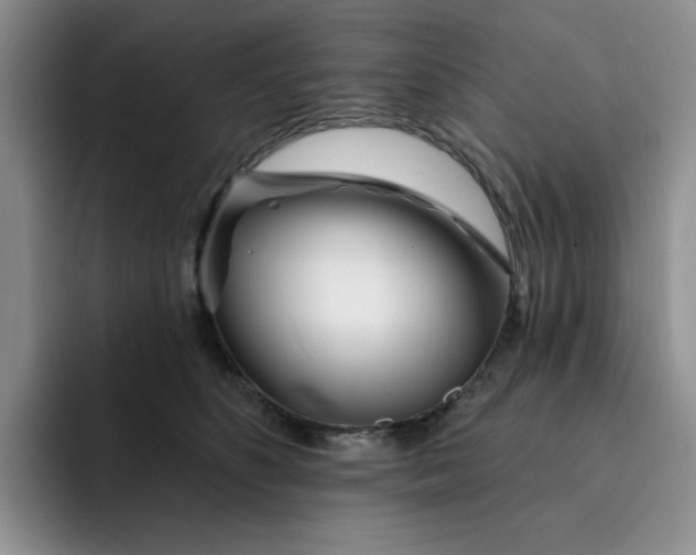 X0000091720516200709141208