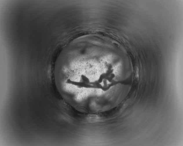 X0000091720519200709141208