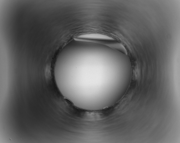 X0000091720520200709141208