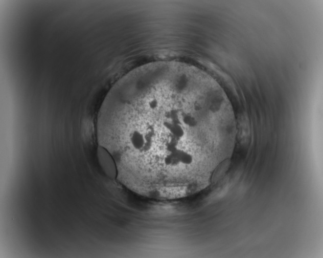 X0000091720523200709141208