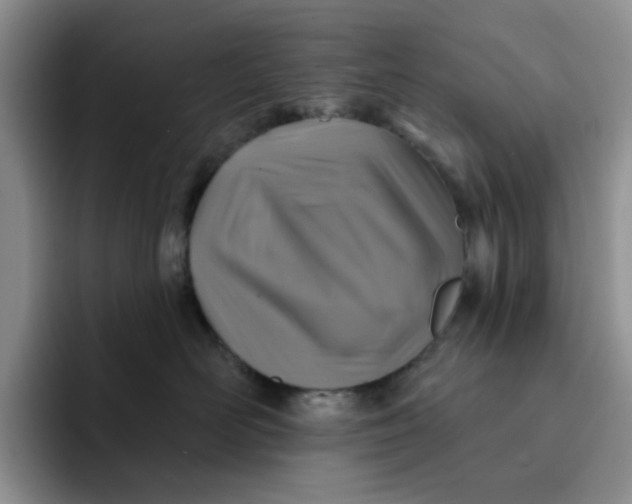 X0000091720526200709141208