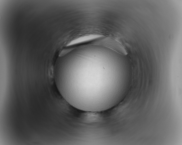 X0000091720528200709141208