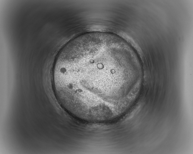 X0000091720529200709141207