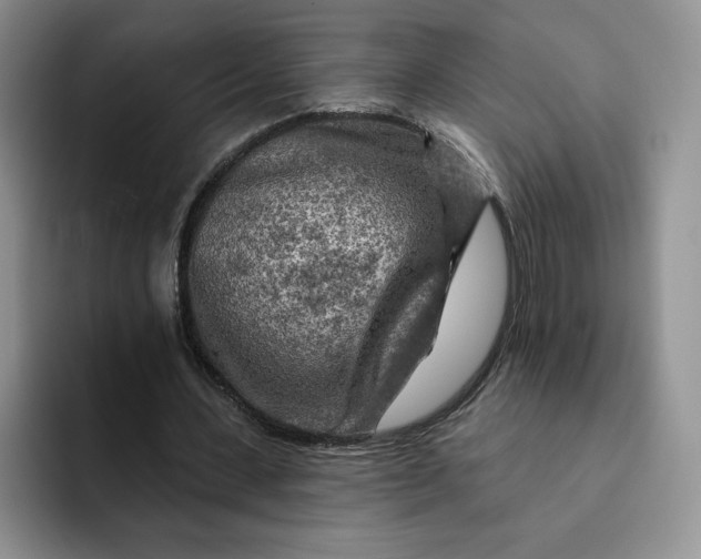 X0000091720531200709141207