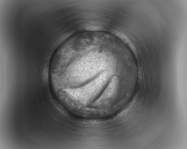 X0000091720533200709141207