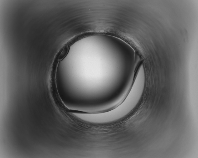 X0000091720536200709141207