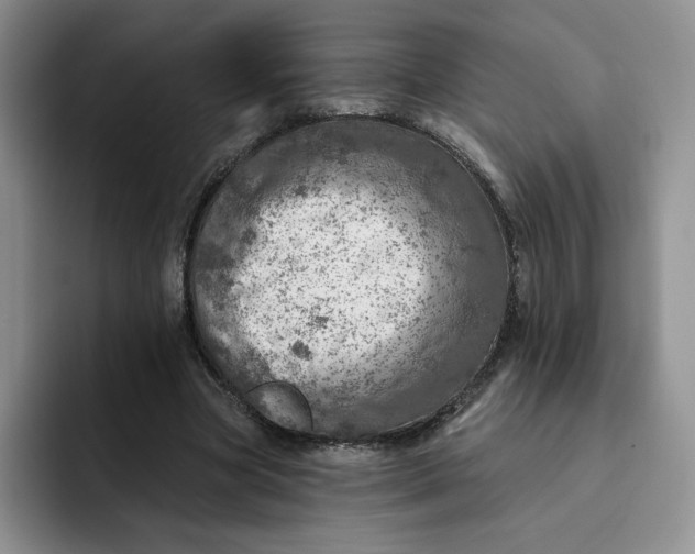 X0000091720537200709141207