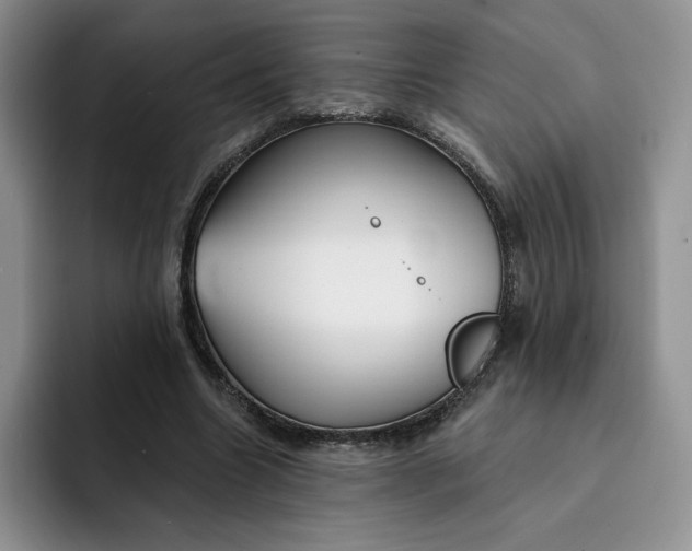 X0000091720538200709141207