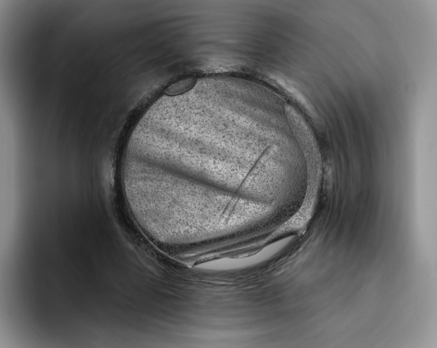 X0000091720539200709141207