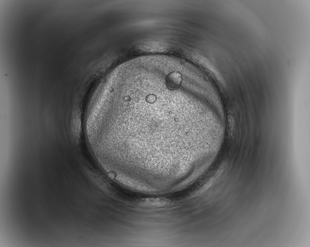 X0000091720541200709141207