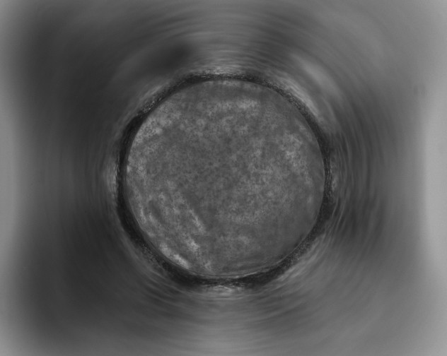 X0000091720542200709141207