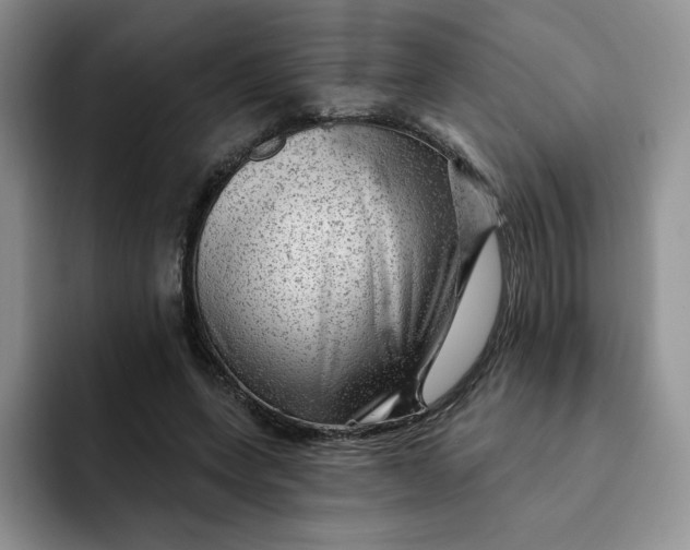 X0000091720543200709141207