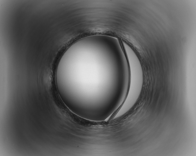 X0000091720544200709141207