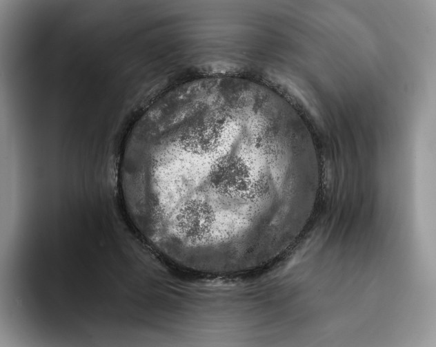 X0000091720545200709141207