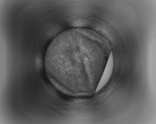 X0000091720547200709141207