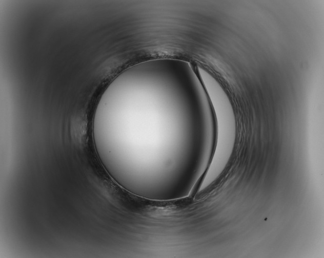 X0000091720548200709141207