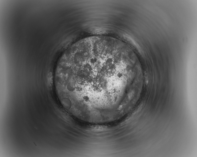 X0000091720549200709141207