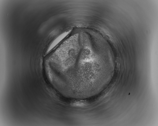 X0000091720550200709141207