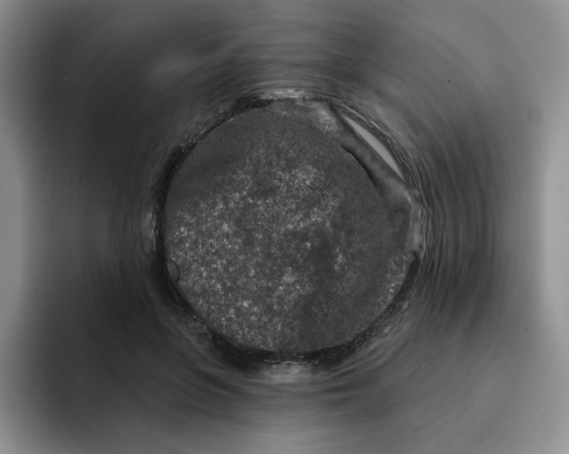 X0000091720551200709141207