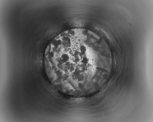 X0000091720553200709141207