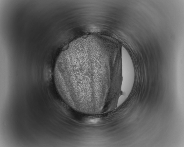 X0000091720555200709141207