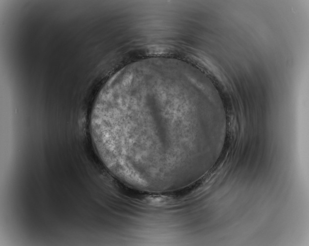 X0000091720557200709141207