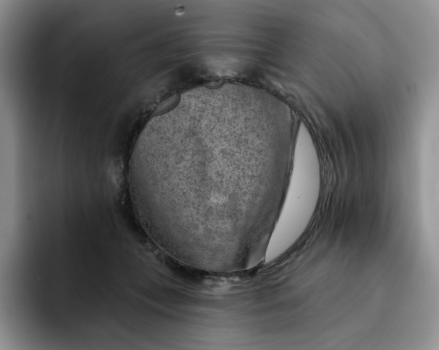 X0000091720559200709141208