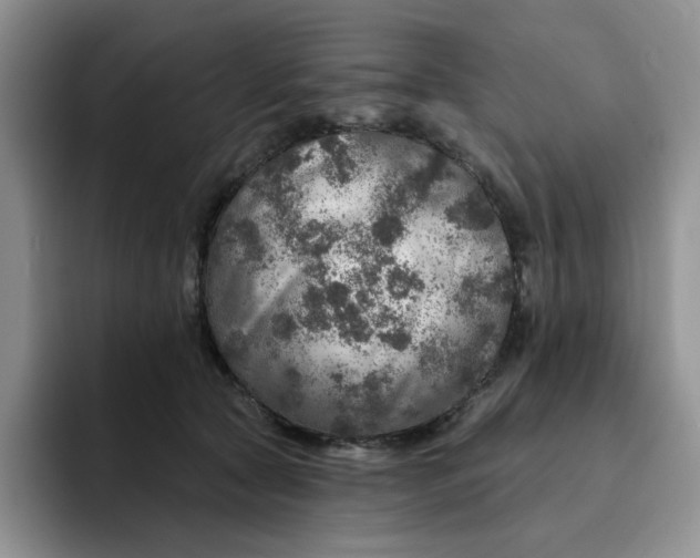 X0000091720561200709141208