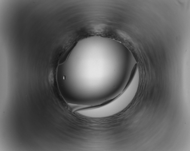 X0000091720562200709141208