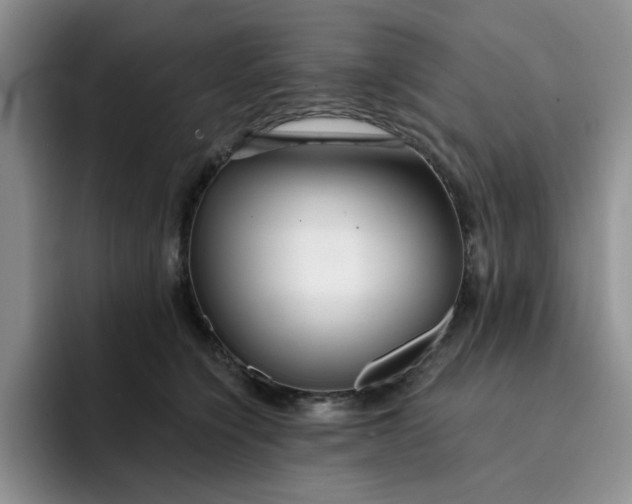 X0000091720564200709141208