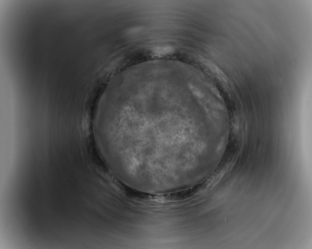 X0000091720565200709141208