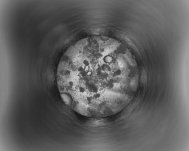 X0000091720569200709141208