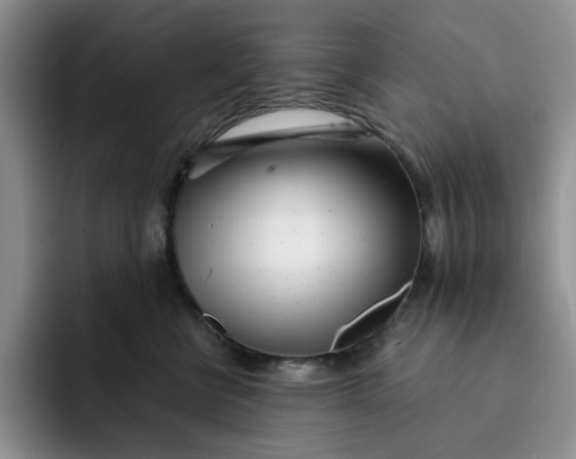 X0000091720570200709141208