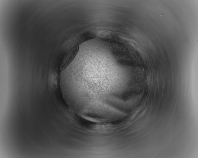 X0000091720571200709141208