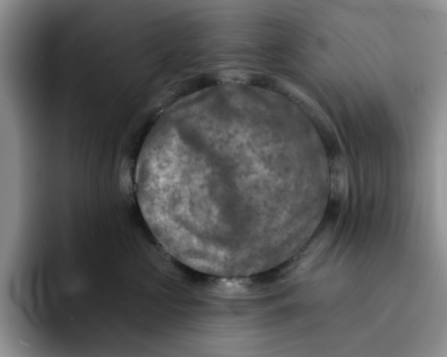 X0000091720573200709141208